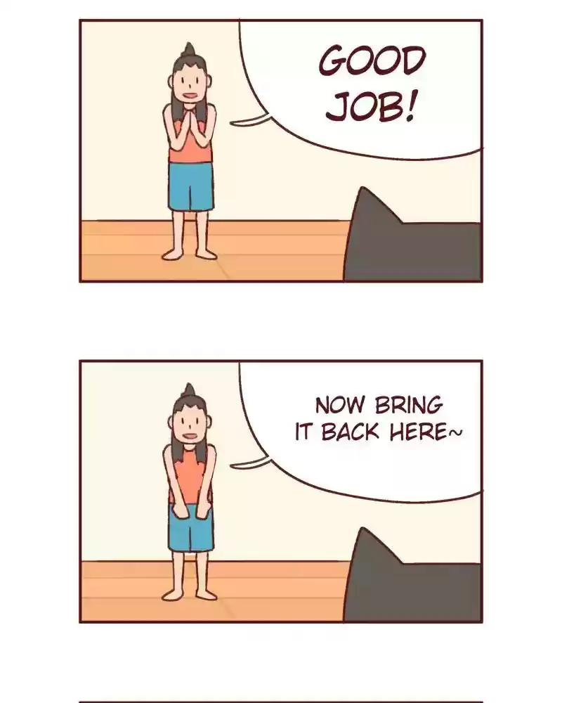 Saphie: The One-Eyed Cat Chapter 384: