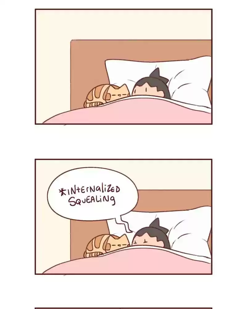 Saphie: The One-Eyed Cat Chapter 385: