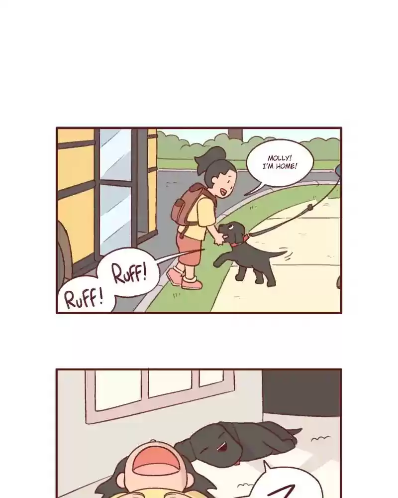 Saphie: The One-Eyed Cat Chapter 386: