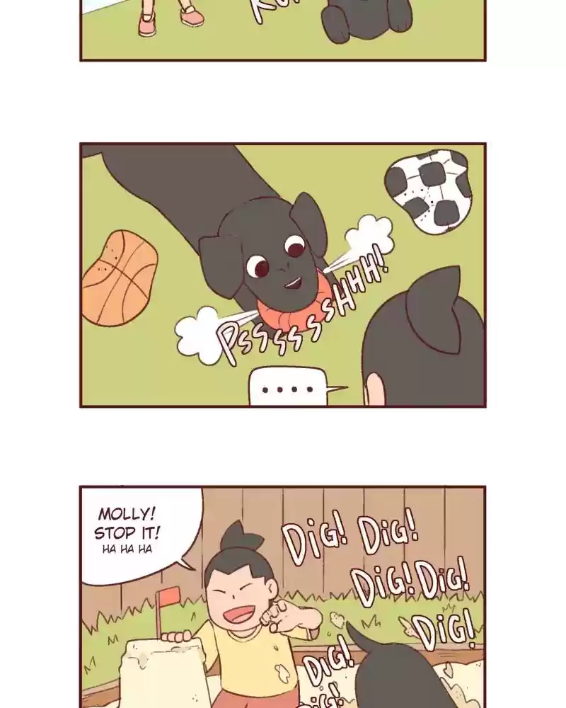 Saphie: The One-Eyed Cat Chapter 386: