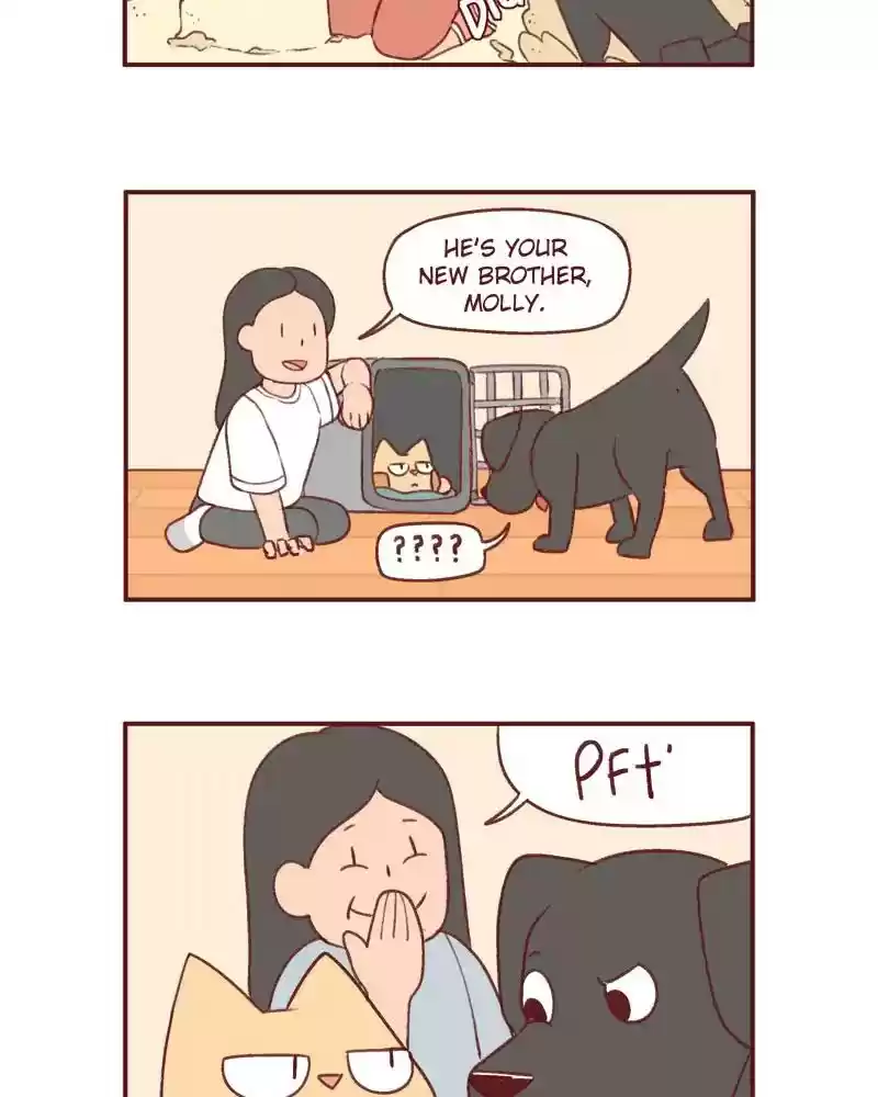 Saphie: The One-Eyed Cat Chapter 386: