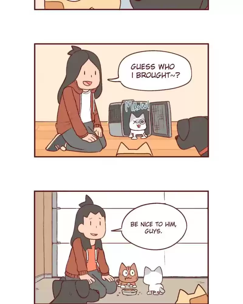 Saphie: The One-Eyed Cat Chapter 386: