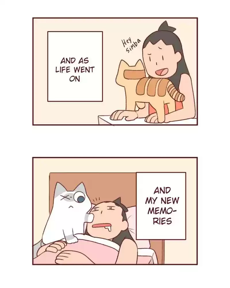 Saphie: The One-Eyed Cat Chapter 386: