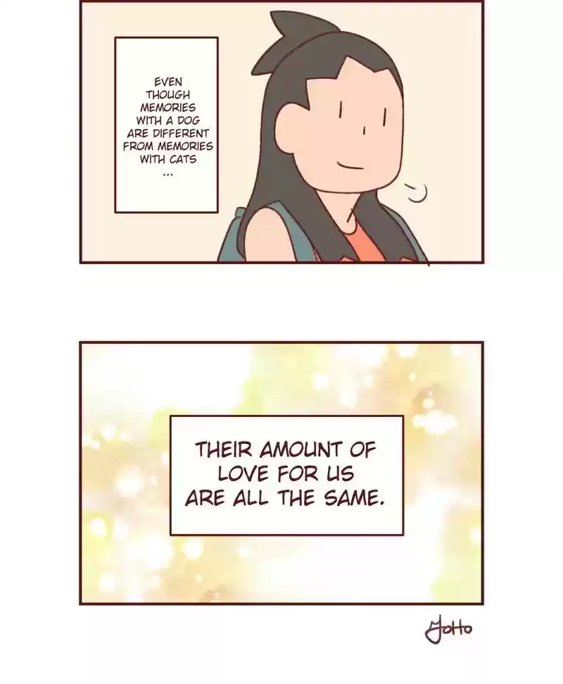 Saphie: The One-Eyed Cat Chapter 386: