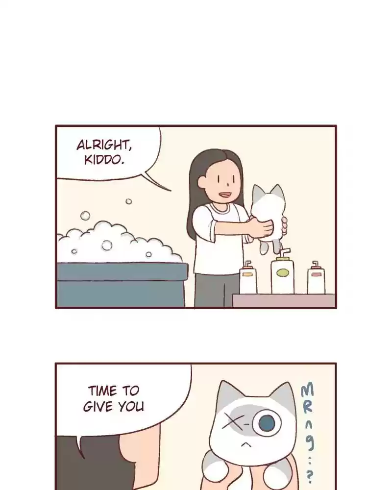 Saphie: The One-Eyed Cat Chapter 387: