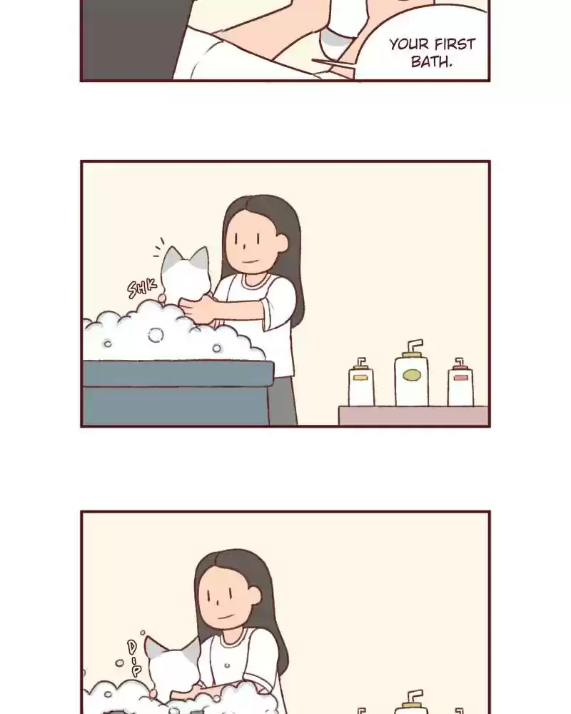 Saphie: The One-Eyed Cat Chapter 387: