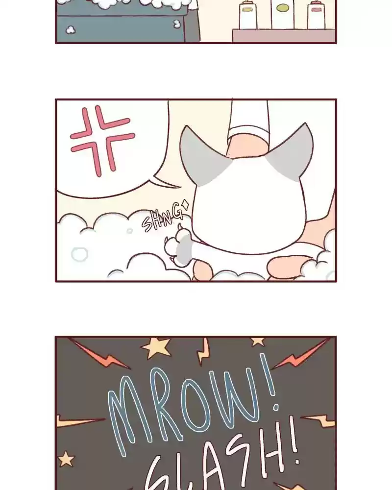 Saphie: The One-Eyed Cat Chapter 387: