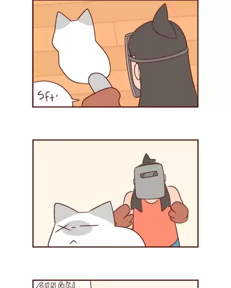 Saphie: The One-Eyed Cat Chapter 387: