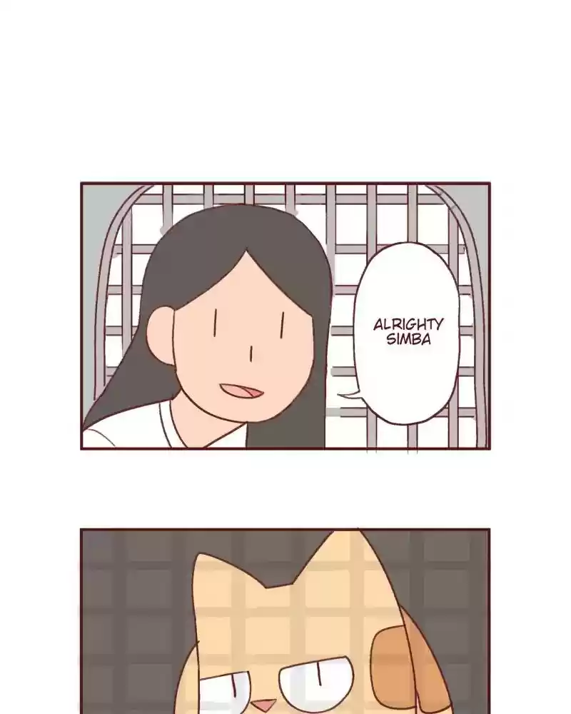 Saphie: The One-Eyed Cat Chapter 388: