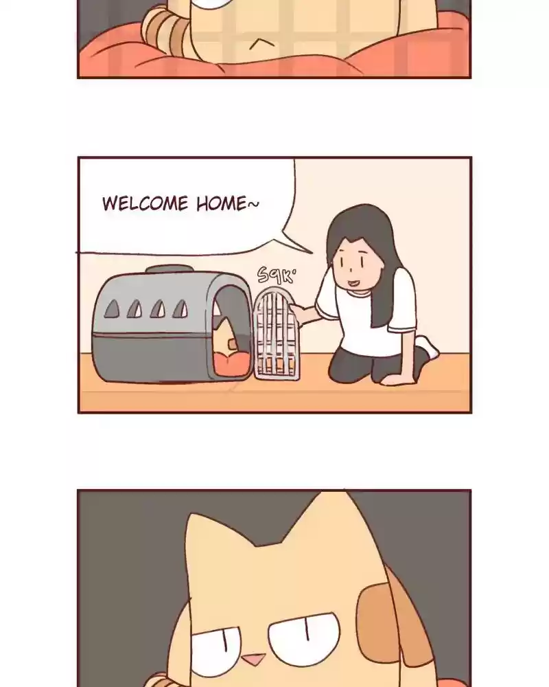 Saphie: The One-Eyed Cat Chapter 388: