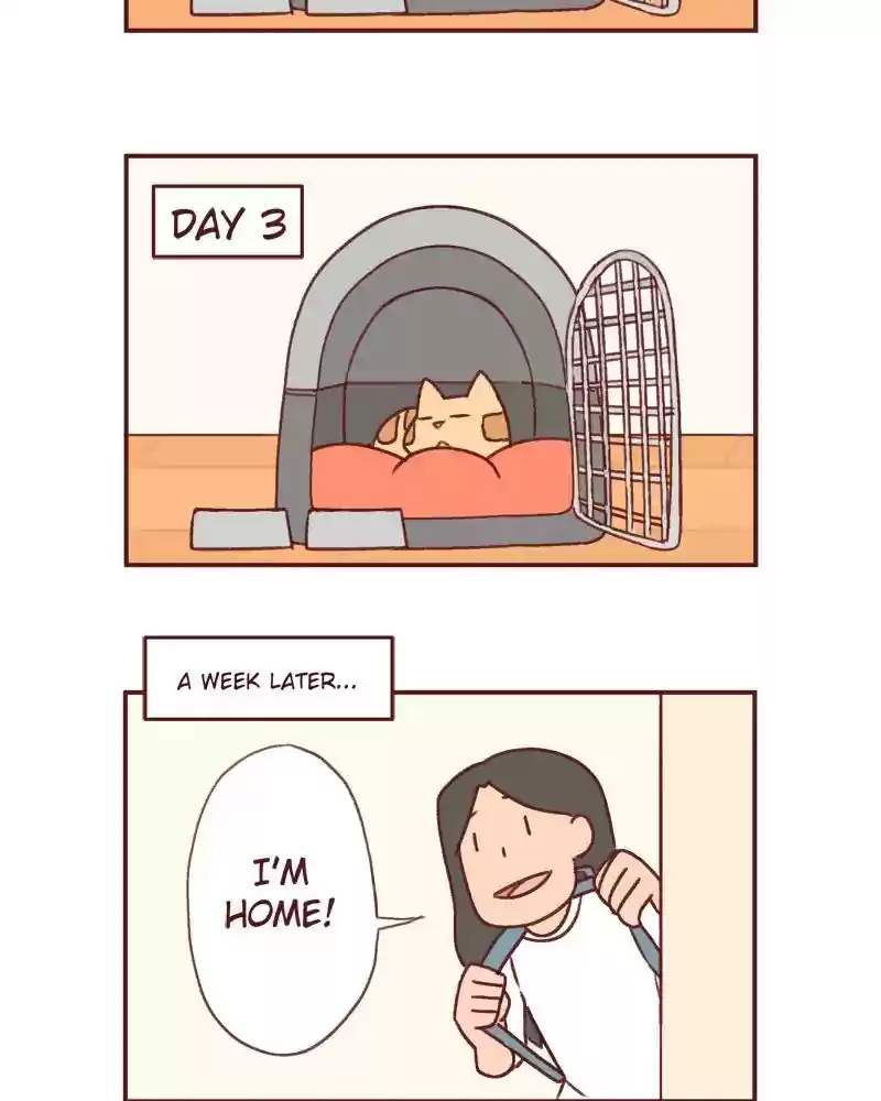 Saphie: The One-Eyed Cat Chapter 388: