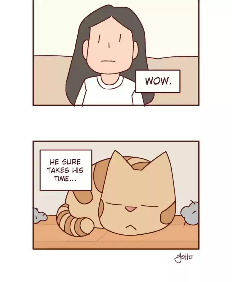 Saphie: The One-Eyed Cat Chapter 388: