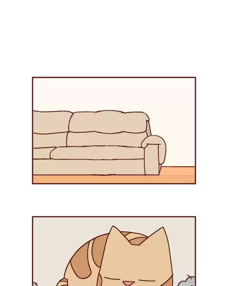 Saphie: The One-Eyed Cat Chapter 389: