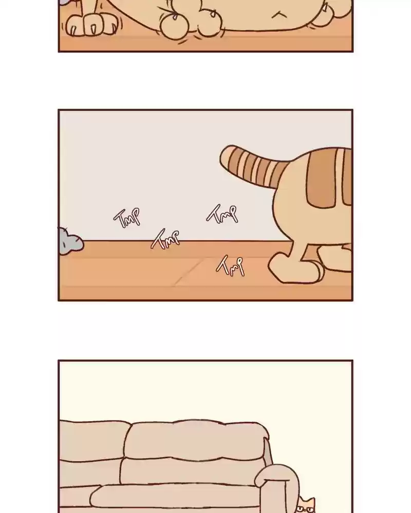 Saphie: The One-Eyed Cat Chapter 389: