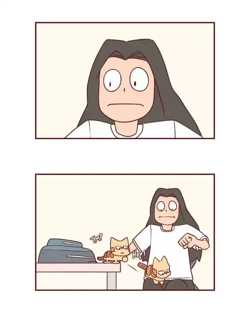 Saphie: The One-Eyed Cat Chapter 389: