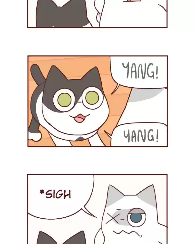 Saphie: The One-Eyed Cat Chapter 391: