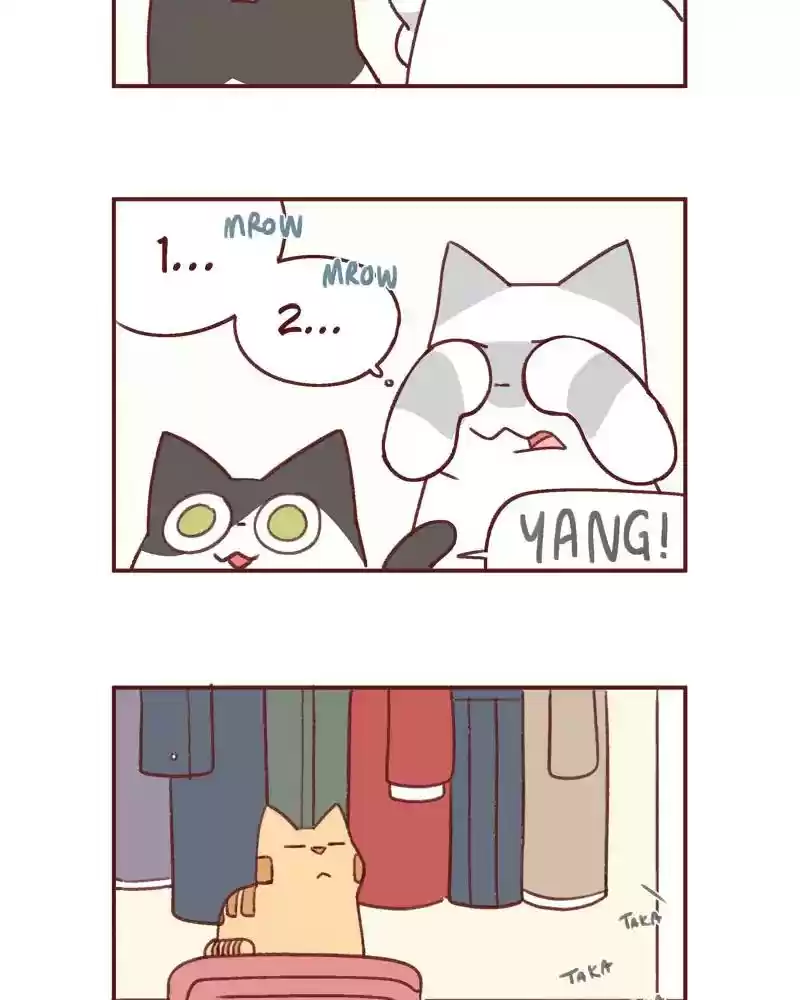 Saphie: The One-Eyed Cat Chapter 391: