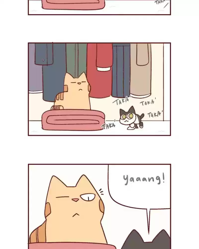 Saphie: The One-Eyed Cat Chapter 391: