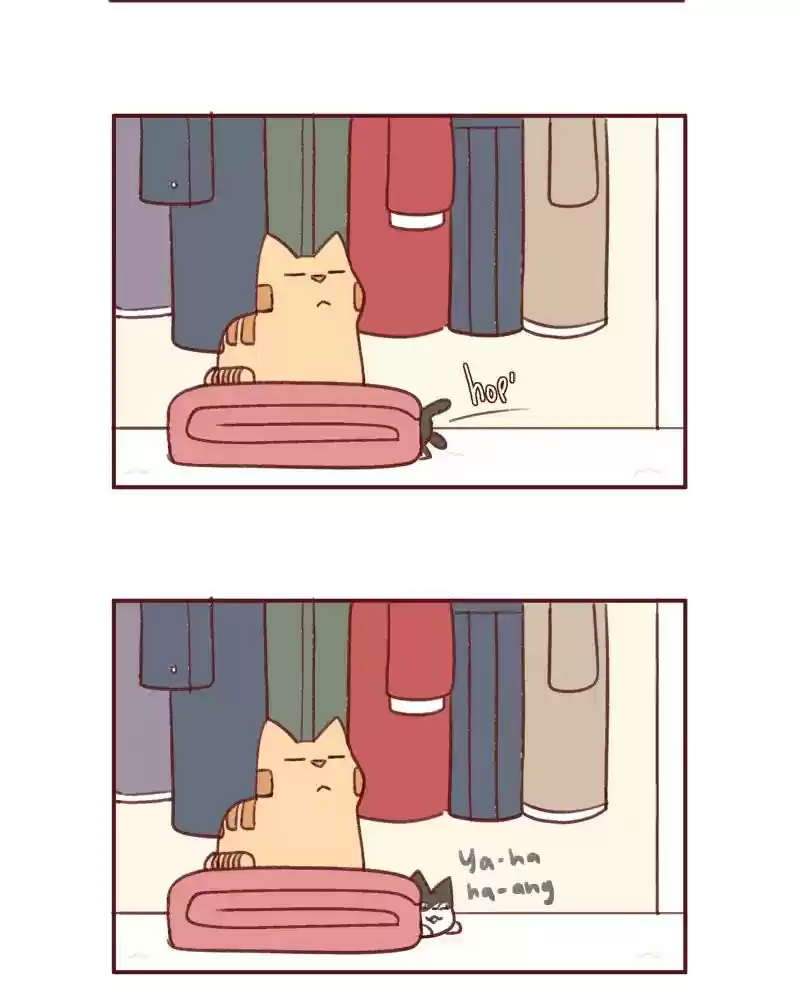 Saphie: The One-Eyed Cat Chapter 391: