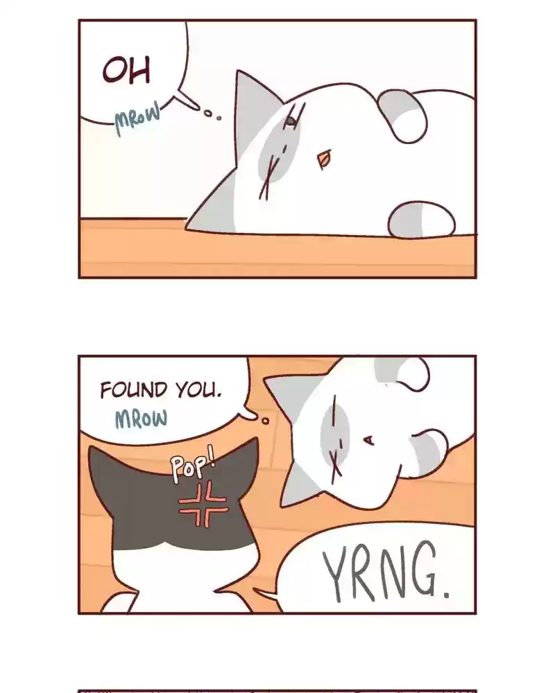 Saphie: The One-Eyed Cat Chapter 391: