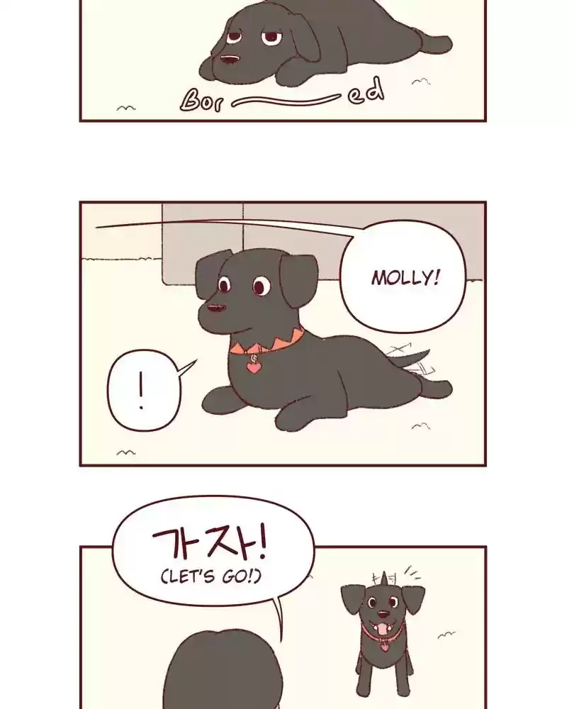 Saphie: The One-Eyed Cat Chapter 395: