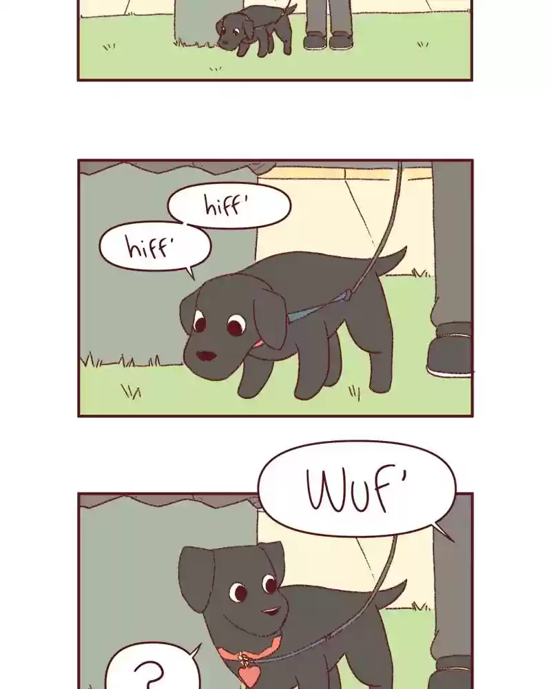 Saphie: The One-Eyed Cat Chapter 395: