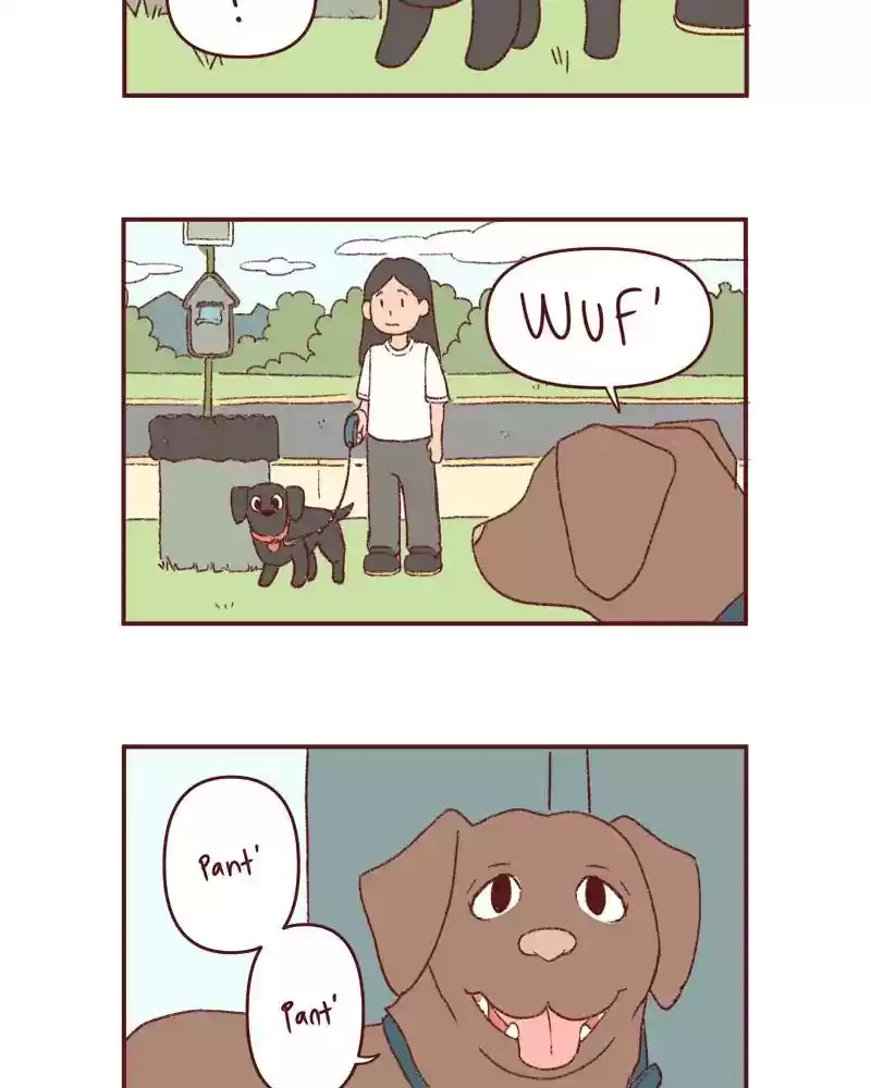 Saphie: The One-Eyed Cat Chapter 395: