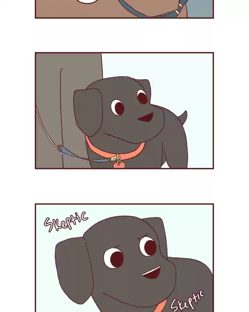 Saphie: The One-Eyed Cat Chapter 395: