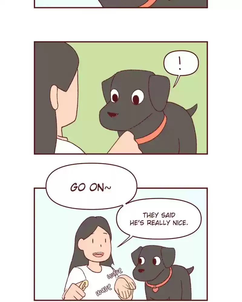 Saphie: The One-Eyed Cat Chapter 395: