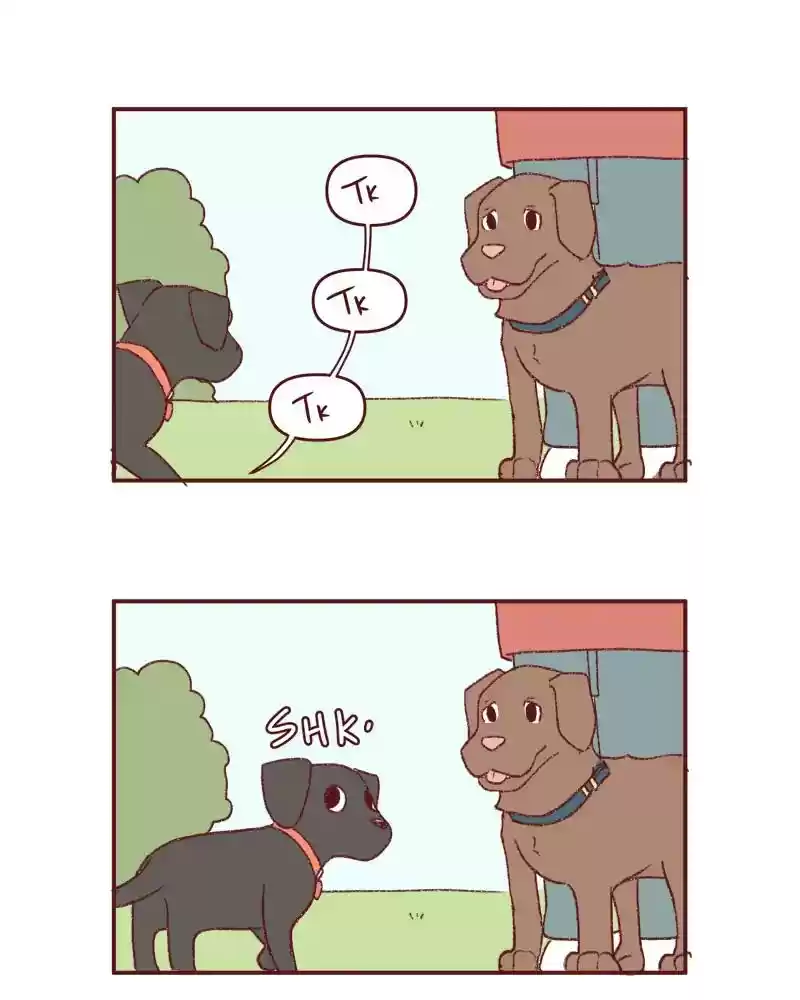 Saphie: The One-Eyed Cat Chapter 395: