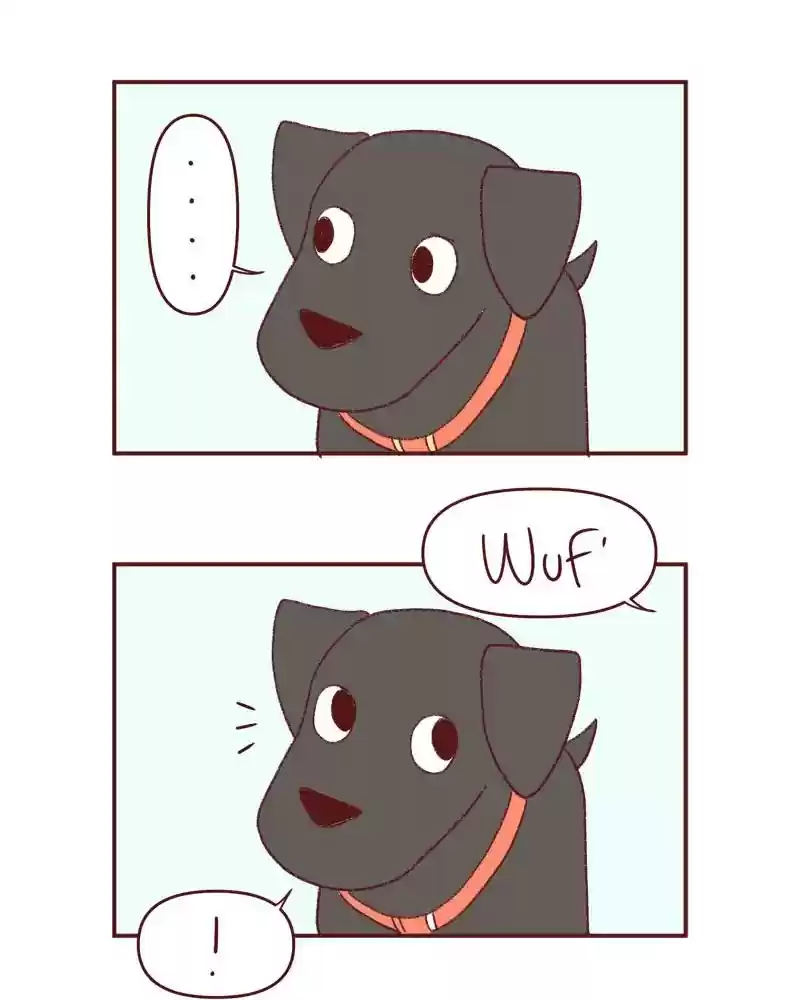 Saphie: The One-Eyed Cat Chapter 395: