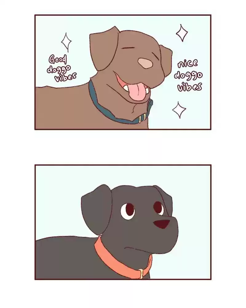 Saphie: The One-Eyed Cat Chapter 395: