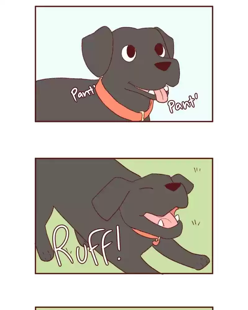 Saphie: The One-Eyed Cat Chapter 395: