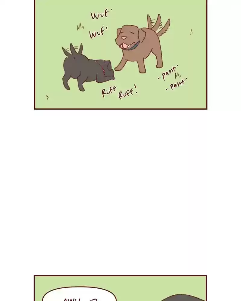 Saphie: The One-Eyed Cat Chapter 395: