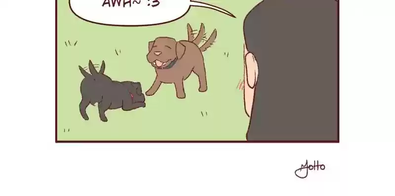 Saphie: The One-Eyed Cat Chapter 395: