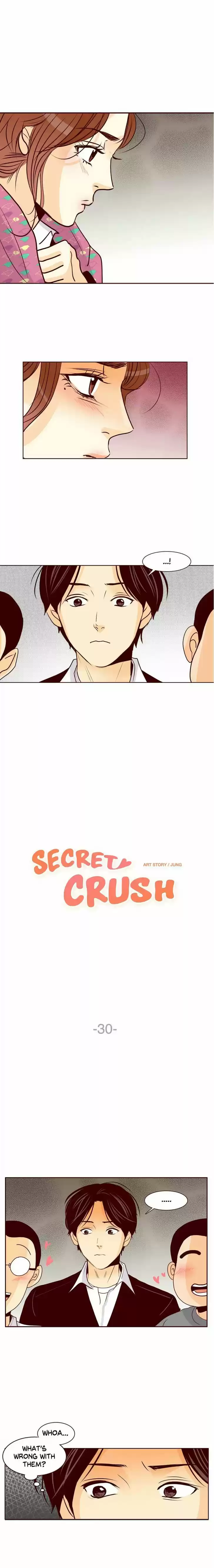 Secret Crush 30