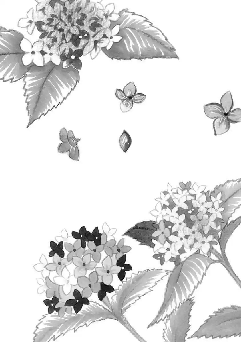 Sefure no Pride Vol.11 Ch.48