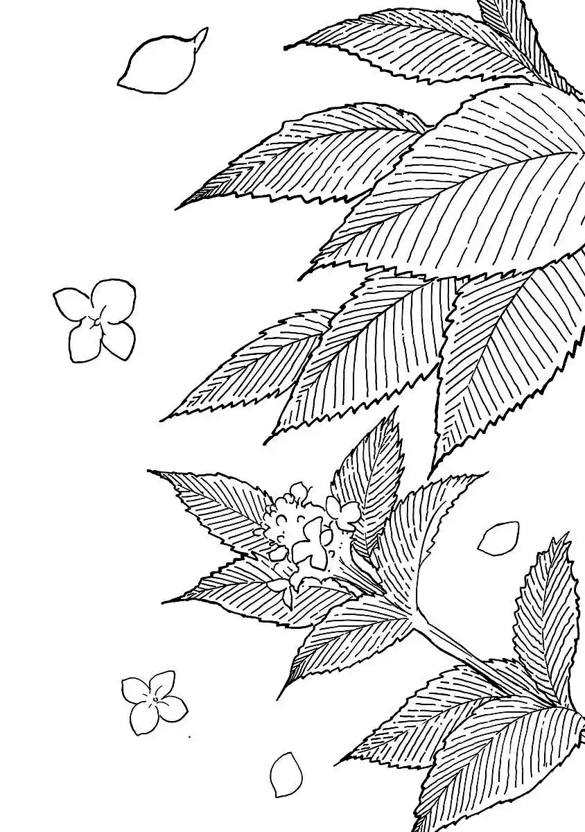 Sefure no Pride Vol.11 Ch.50