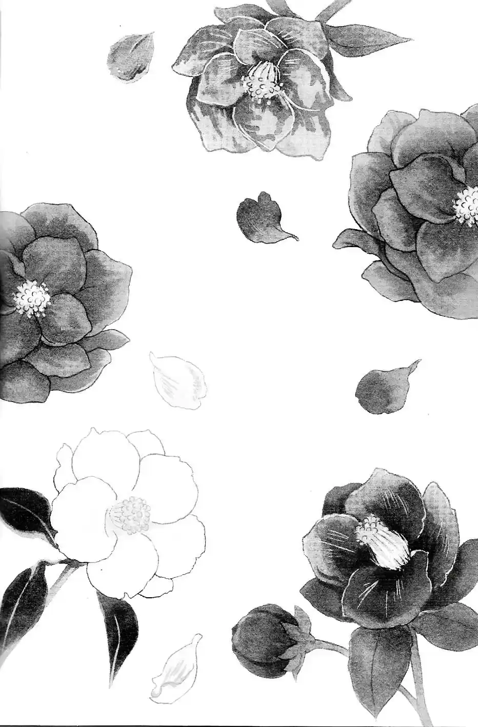 Sefure no Pride Vol.13 Ch.56