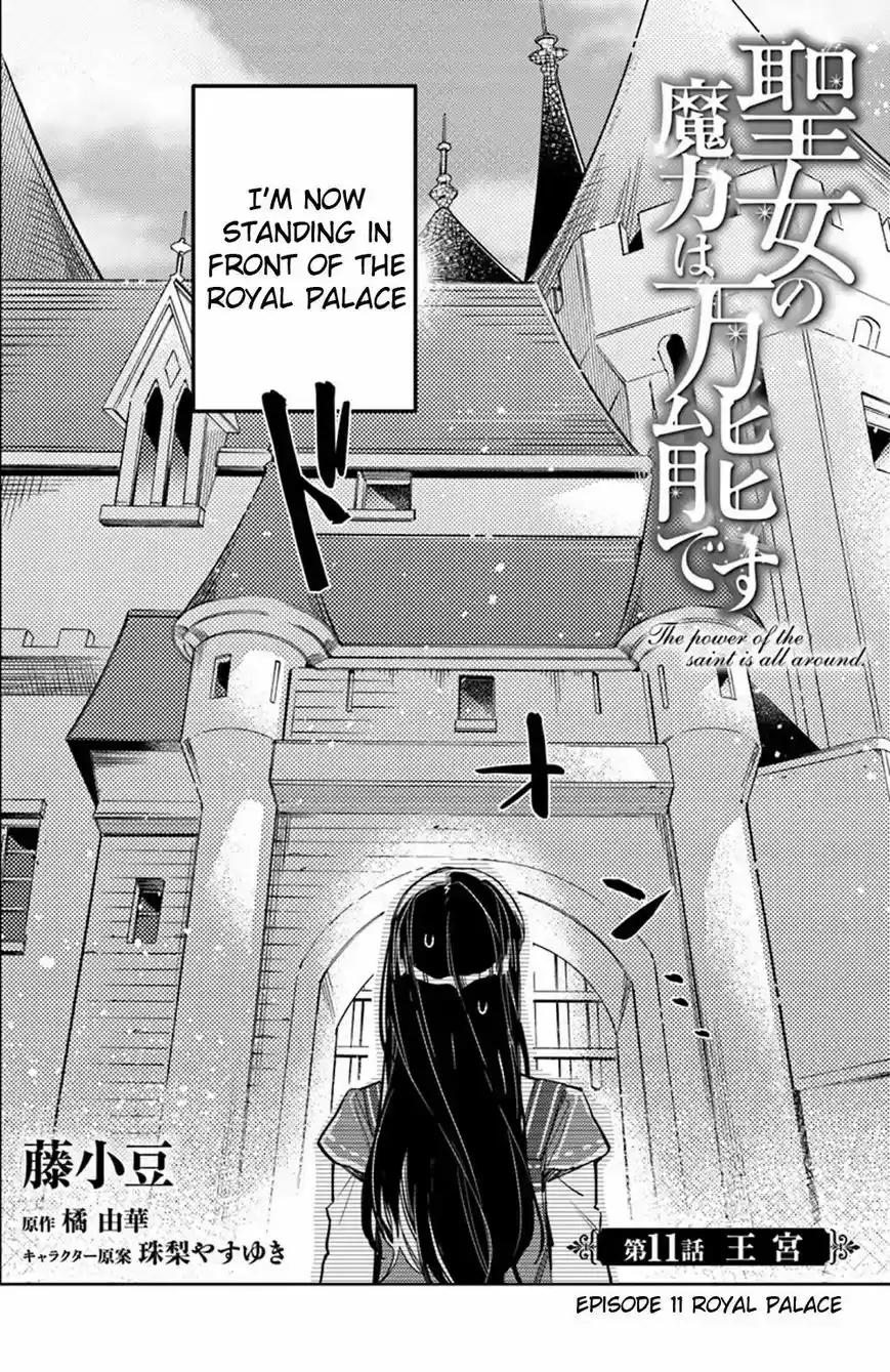 Seijo no Maryoku wa Bannou desu 11.1