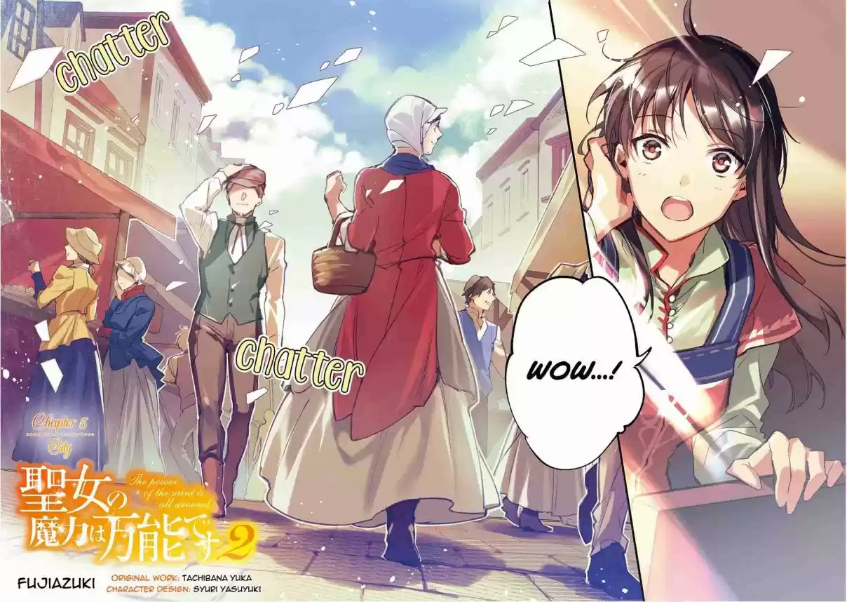 Seijo no Maryoku wa Bannou Desu 5