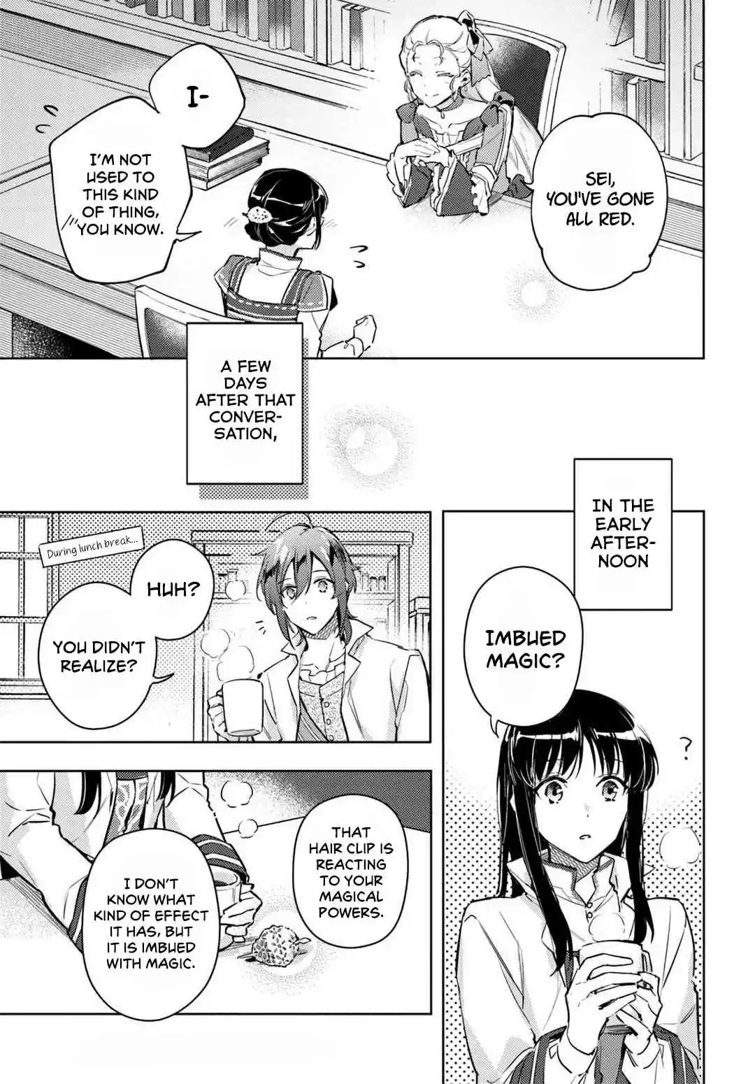 Seijo no Maryoku wa Bannou Desu 6