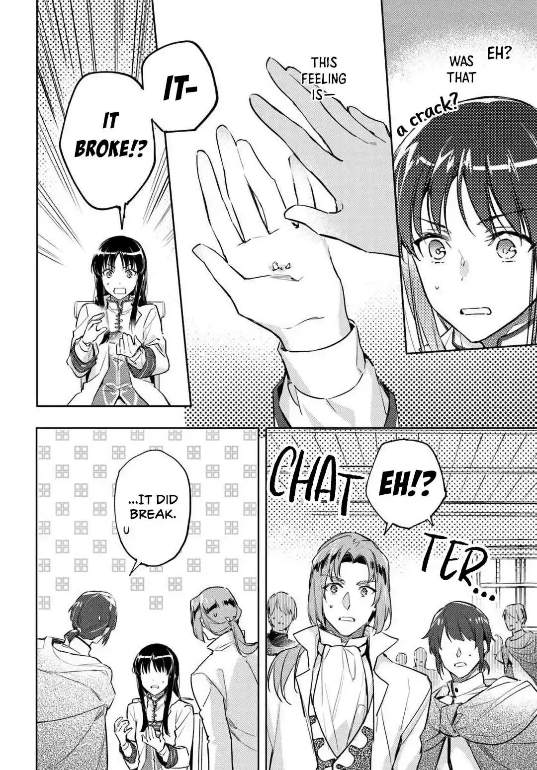 Seijo no Maryoku wa Bannou Desu 6