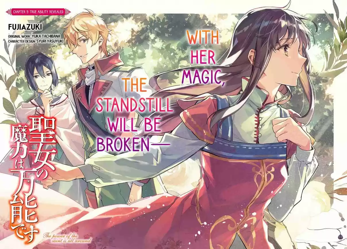 Seijo no Maryoku wa Bannou Desu 9