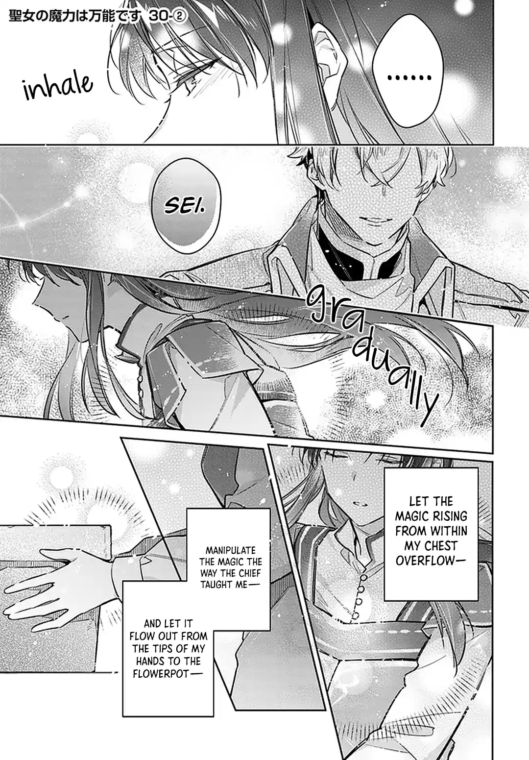 Seijo No Maryoku Wa Bannou Desu Chapter 30