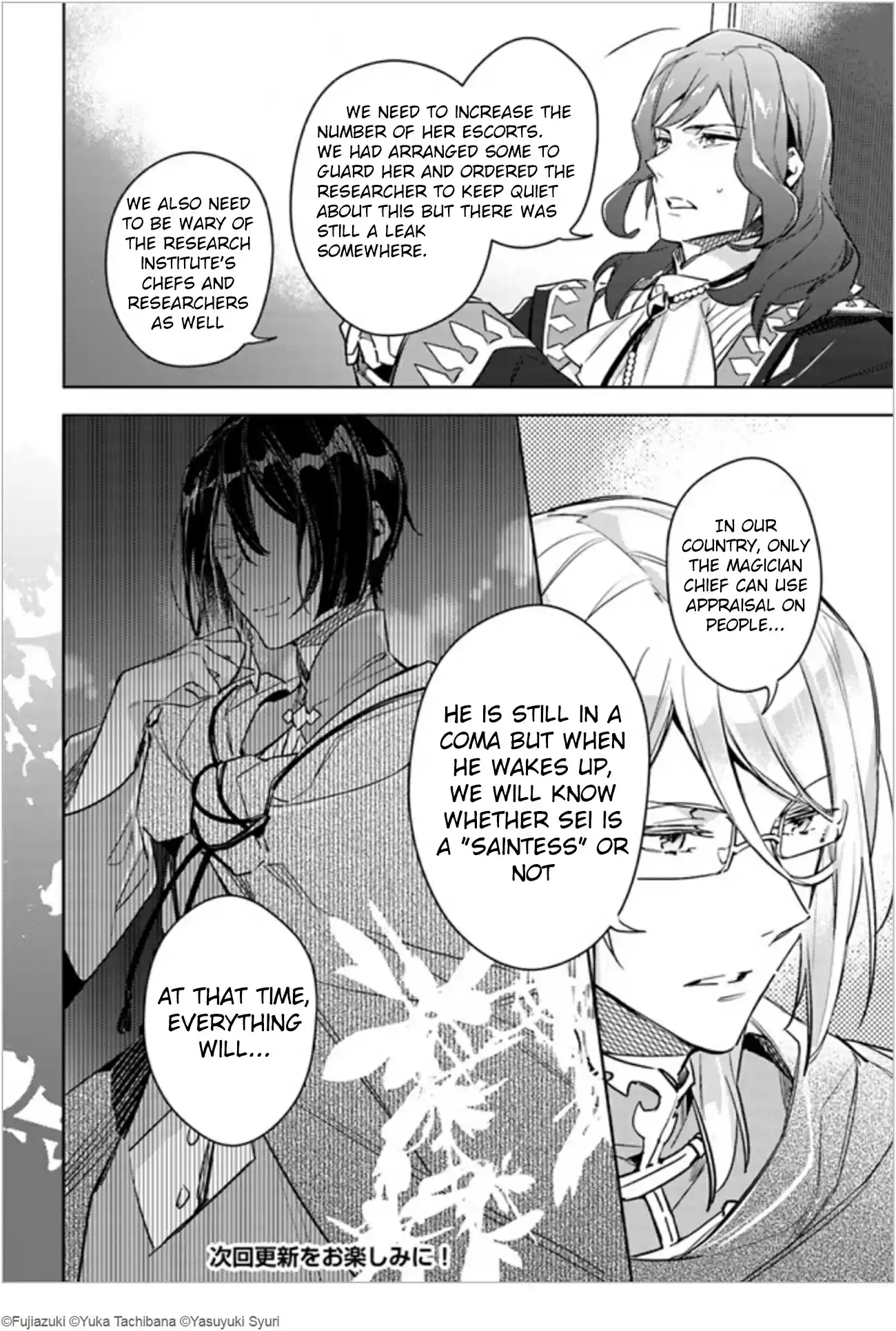 Seijo no Maryoku wa Bannou Desu Vol. 2 Ch. 8.5 Extra