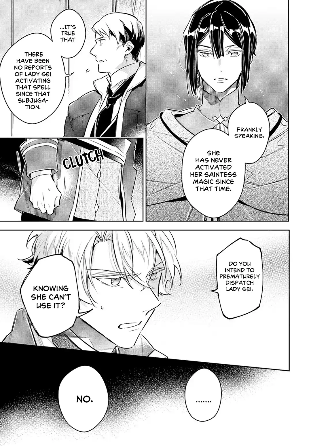 Seijo No Maryoku Wa Bannou Desu Vol.6 Chapter 25.5