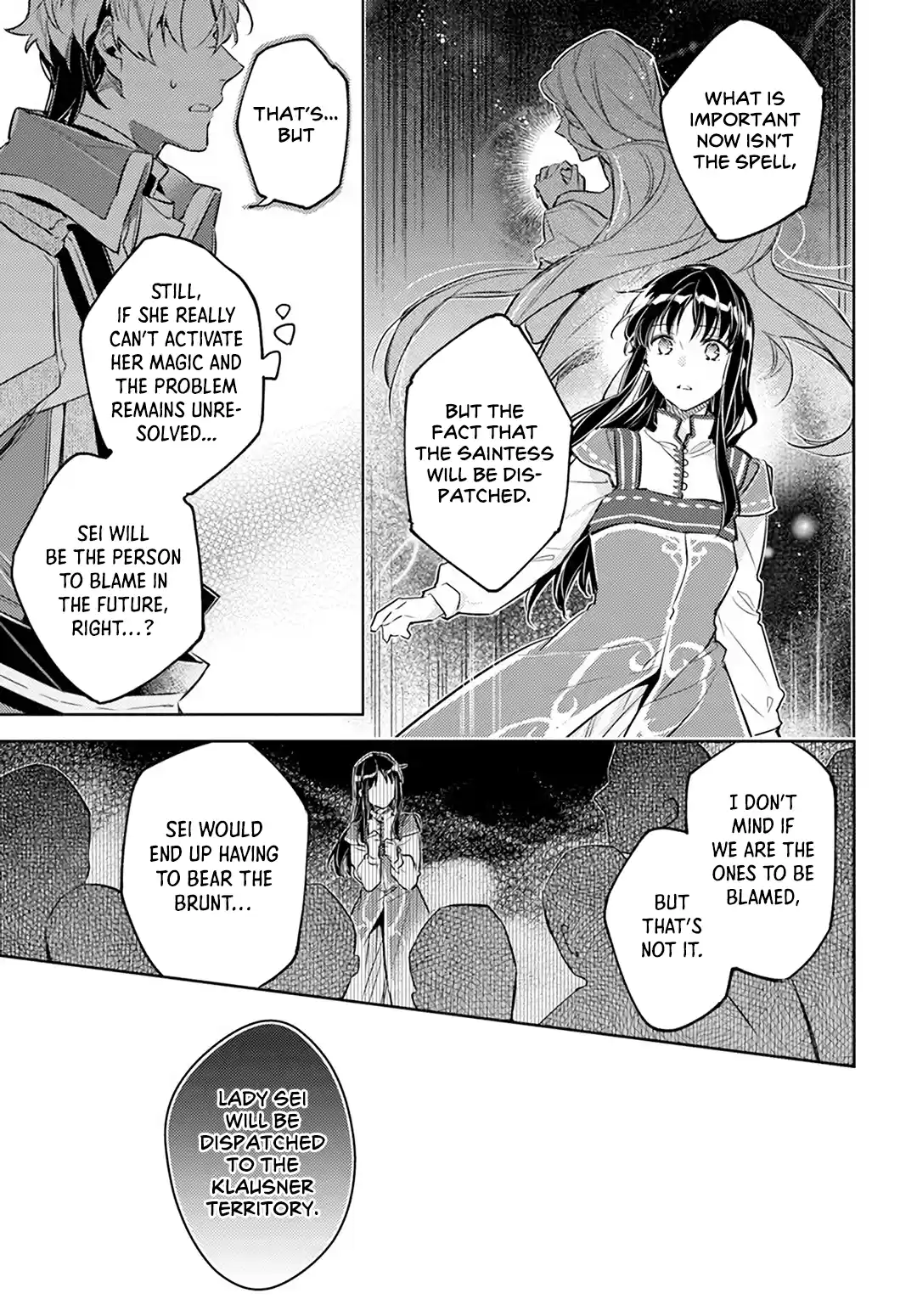 Seijo No Maryoku Wa Bannou Desu Vol.6 Chapter 25.5