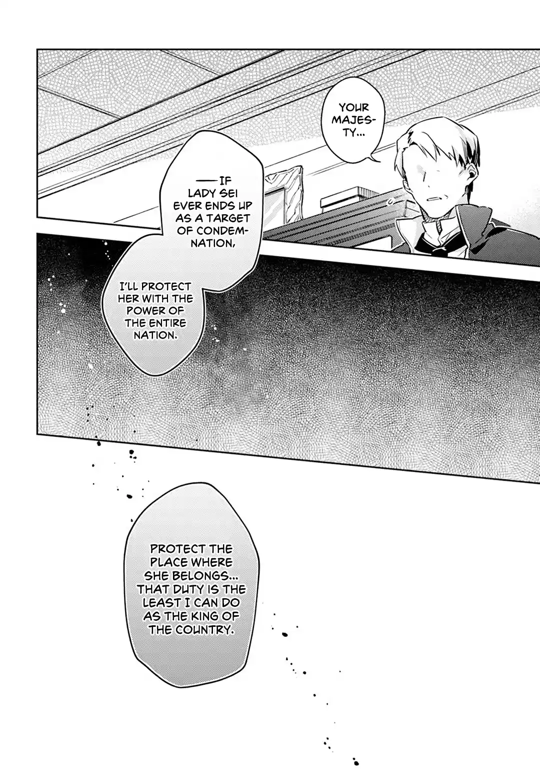 Seijo No Maryoku Wa Bannou Desu Vol.6 Chapter 25.5