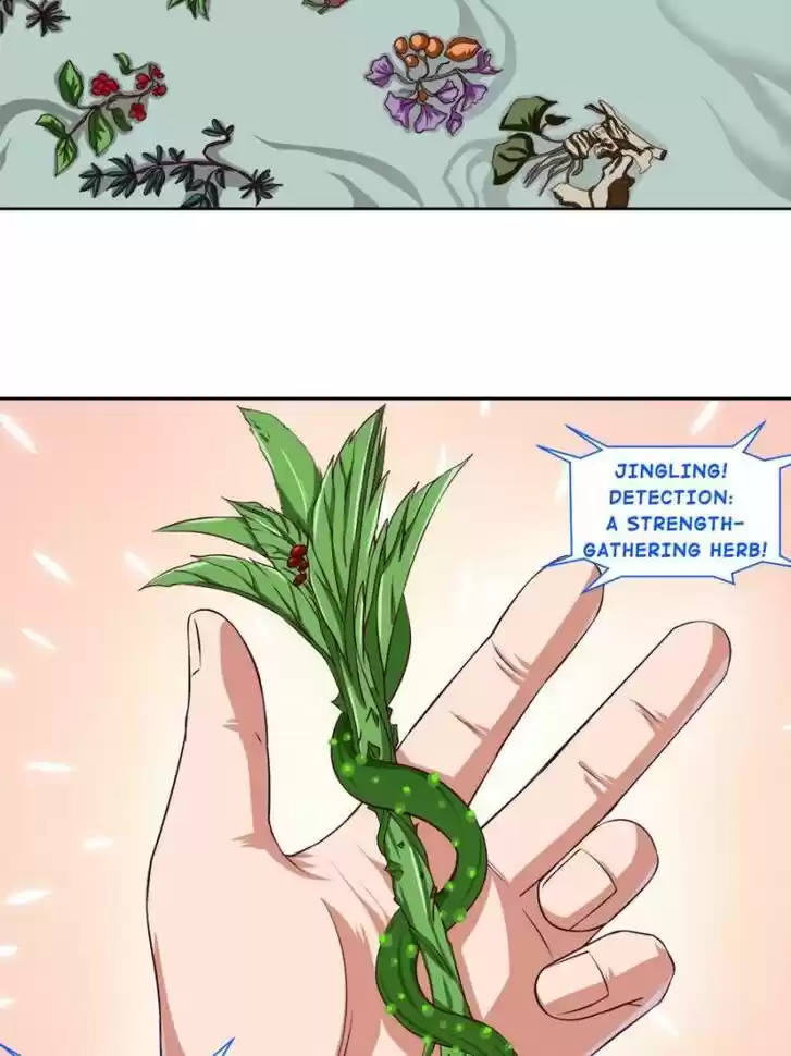 Seize the Mountaintop, Be the Great King Ch.004